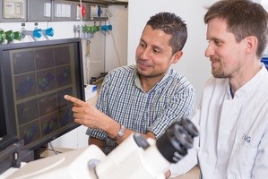 Prof. Dr. Karl Toischer, Dr. Mohamed Belal (Bild: UMG Göttingen)